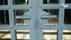 Eingang Gro�e Trauerhalle | <a class="print" href="#" onclick="return hs.printImage(this)">Bild drucken</a>
